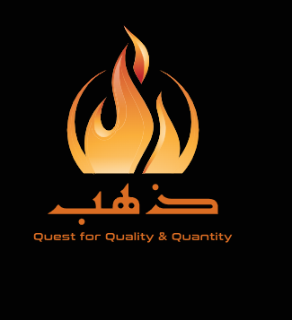 safeeradigitalmarketer.in